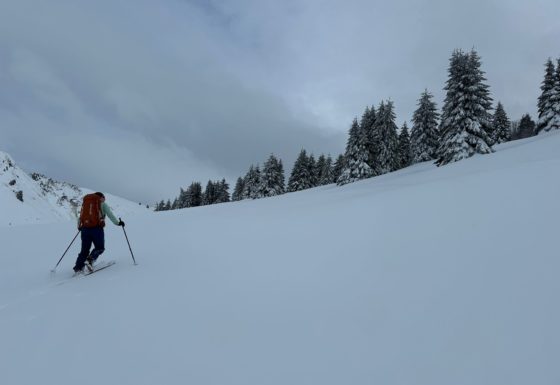 <?php echo e(get_post_field('post_excerpt', 21889)); ?>