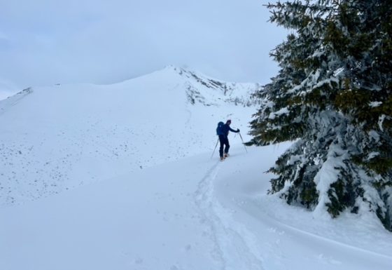 <?php echo e(get_post_field('post_excerpt', 21835)); ?>