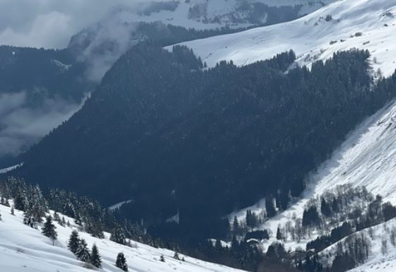 <?php echo e(get_post_field('post_excerpt', 21839)); ?>