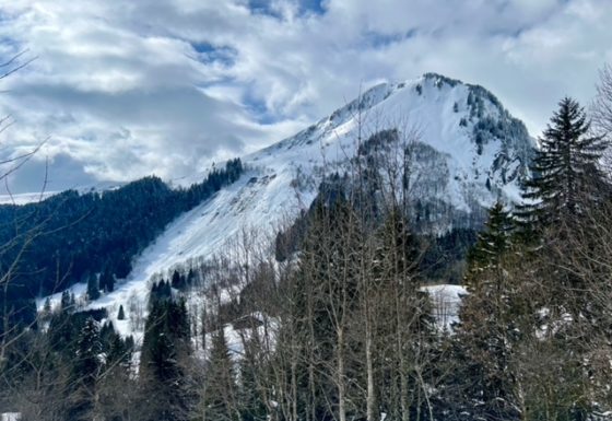 <?php echo e(get_post_field('post_excerpt', 21843)); ?>