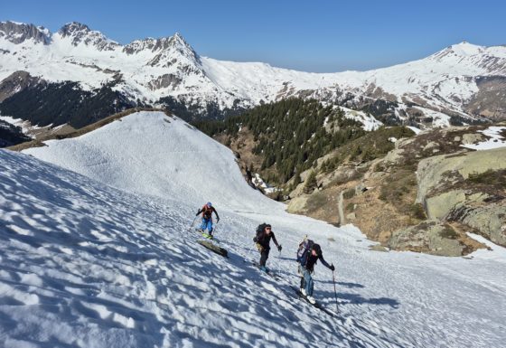 <?php echo e(get_post_field('post_excerpt', 22486)); ?>