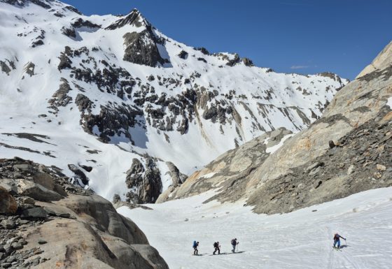 <?php echo e(get_post_field('post_excerpt', 22487)); ?>