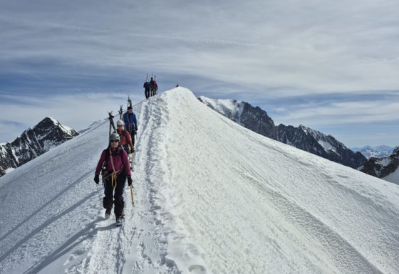 <?php echo e(get_post_field('post_excerpt', 22493)); ?>