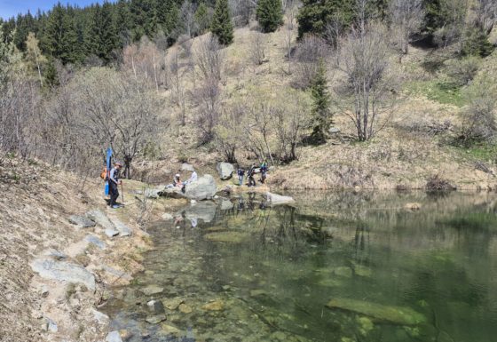 <?php echo e(get_post_field('post_excerpt', 22494)); ?>