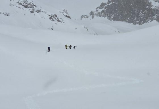 <?php echo e(get_post_field('post_excerpt', 22349)); ?>