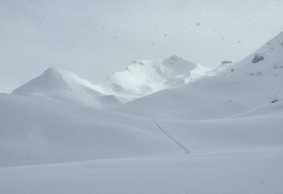 <?php echo e(get_post_field('post_excerpt', 22351)); ?>