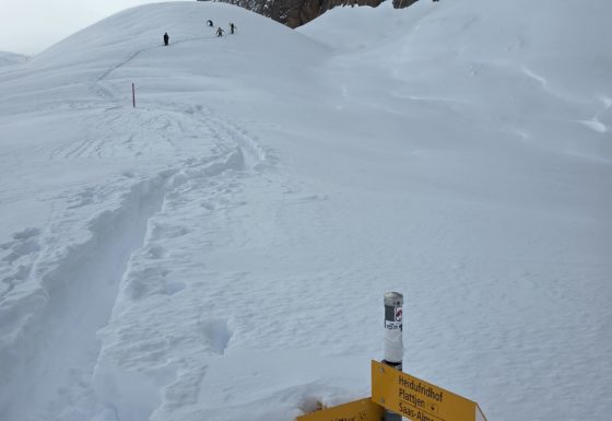 <?php echo e(get_post_field('post_excerpt', 22352)); ?>