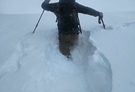 <?php echo e(get_post_field('post_excerpt', 22353)); ?>