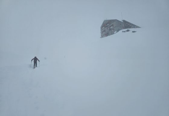 <?php echo e(get_post_field('post_excerpt', 22354)); ?>