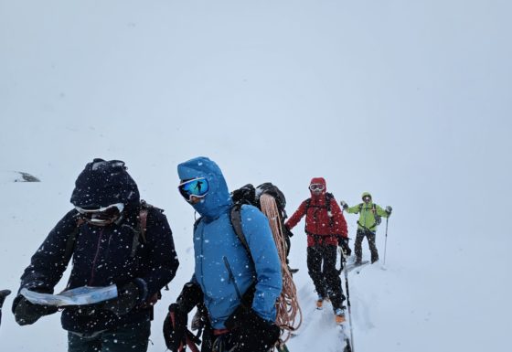 <?php echo e(get_post_field('post_excerpt', 22355)); ?>