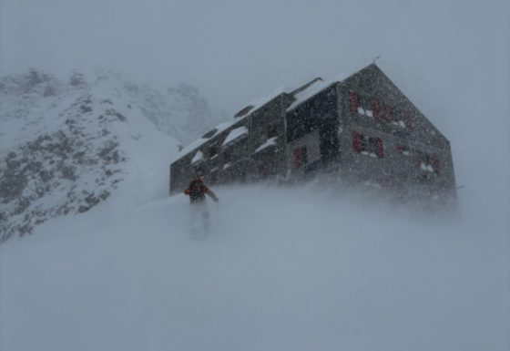 <?php echo e(get_post_field('post_excerpt', 22356)); ?>