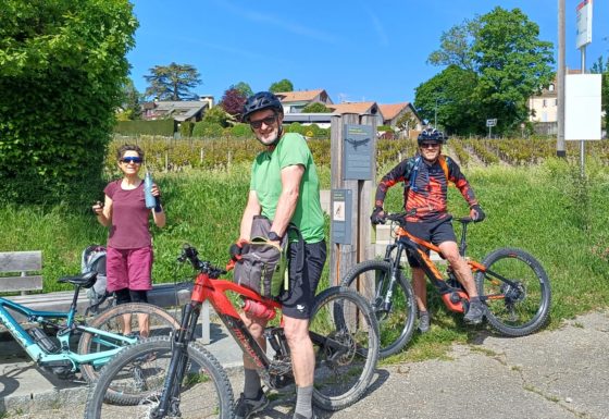 <?php echo e(get_post_field('post_excerpt', 22418)); ?>