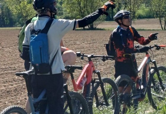 <?php echo e(get_post_field('post_excerpt', 22420)); ?>