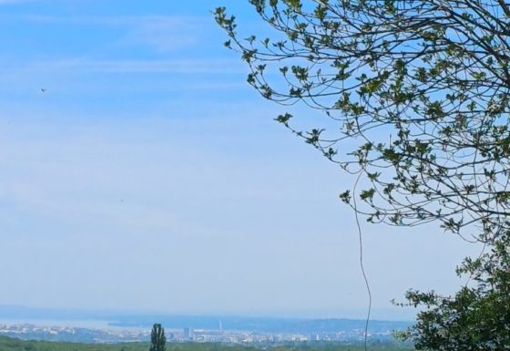 <?php echo e(get_post_field('post_excerpt', 22421)); ?>