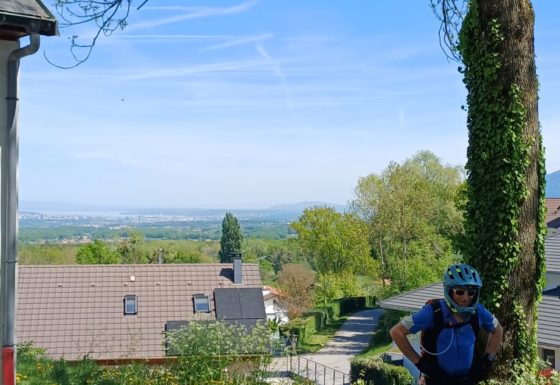 <?php echo e(get_post_field('post_excerpt', 22422)); ?>