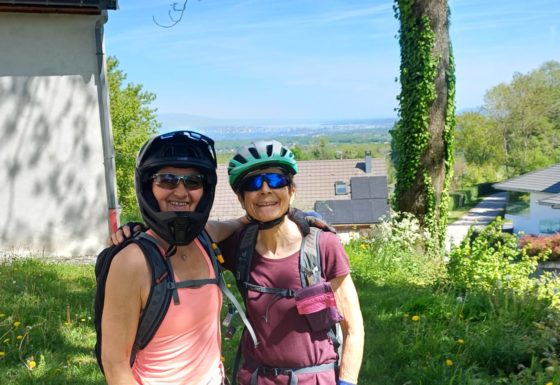 <?php echo e(get_post_field('post_excerpt', 22423)); ?>