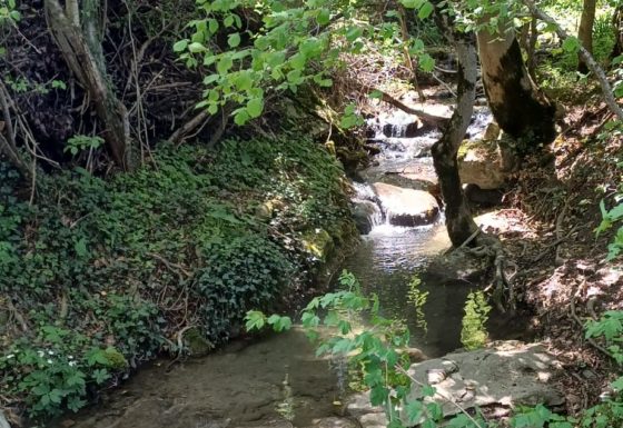 <?php echo e(get_post_field('post_excerpt', 22425)); ?>