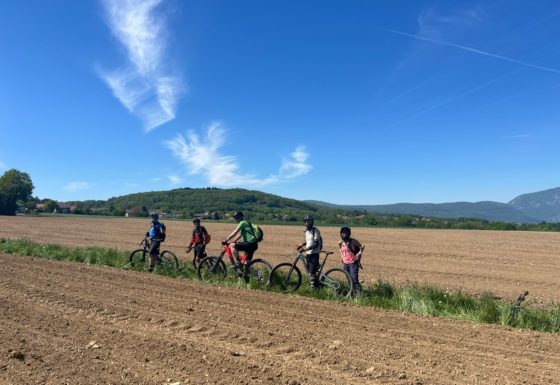 <?php echo e(get_post_field('post_excerpt', 22427)); ?>